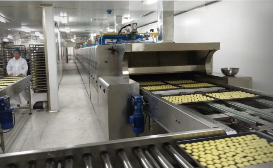 Tunnel Oven/Conveyor Oven